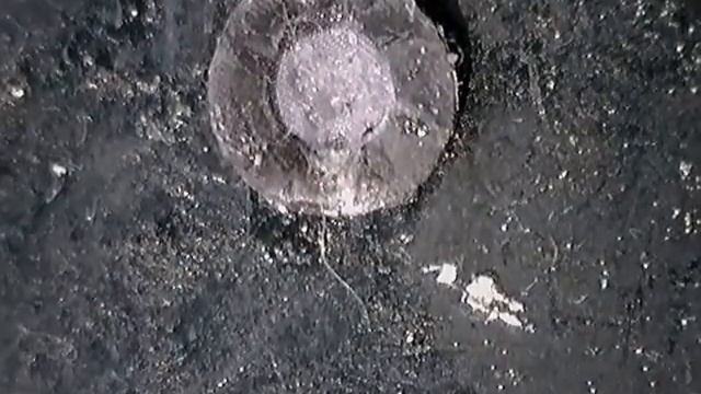 Sony C1505 ти-иии-хий микрофон смотреть онлайн