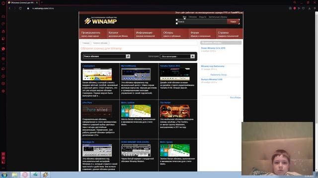 Обзор программы Winamp 5.8. (ТОП)