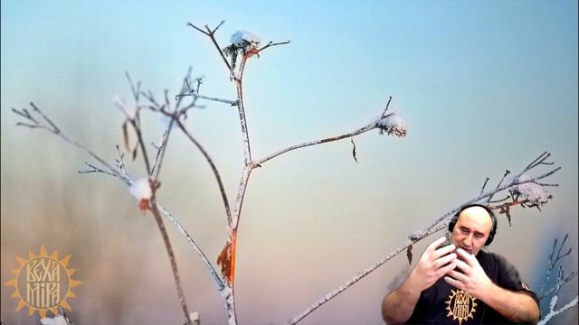 Чудеса и религия смотреть онлайн