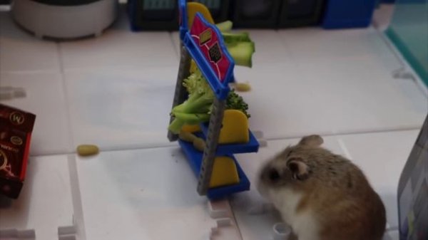 OPENING A MINI BRANDS STORE TO A SECRET SHOPPER!! Did They Get A Super Rare Mini Brands?