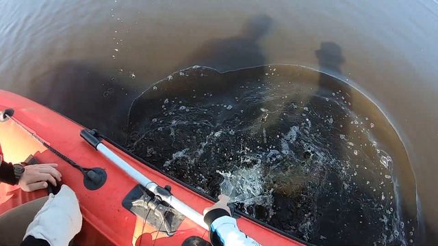 Ловля сома на квок. "Лягушата" с меляков. смотреть онлайн