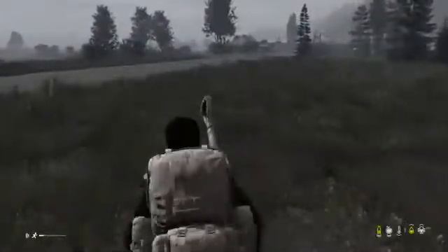 Dayz darkzone смотреть онлайн