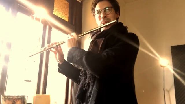 METRONOME PLAY ALONG!▪️Moderato, 26 kleine Kapricen Op.37 - J. Andersen (AMEB Grade 3, List A) смотреть онлайн