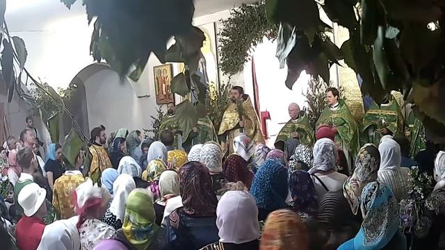 2017.06.04. Проповедь протоиерея Валерия Волощука в День Святой Троицы