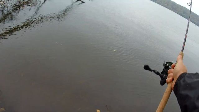 СПУЩЕННОЕ ВОДОХРАНИЛИЩЕ РЫБАЛКА В Г КОРОЧА смотреть онлайн