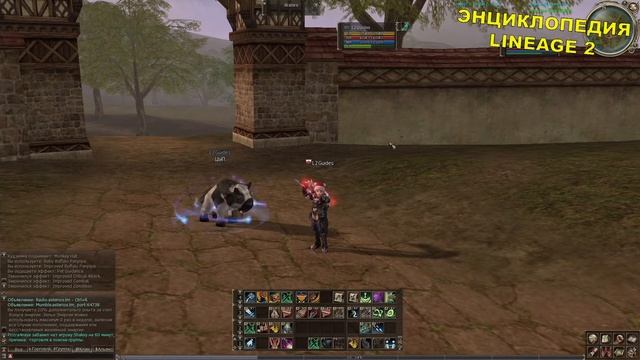 Питомец Buffalo Виды Развитие Использование