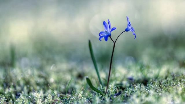 Притча "Покаяние" - Клышевская Ирина смотреть онлайн