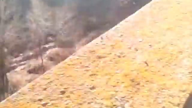 Заброшенный морг смотреть онлайн