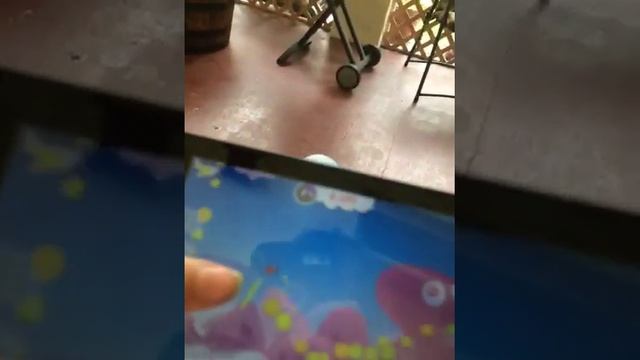 Whale trail part 1 смотреть онлайн