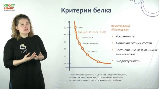 Чем кормят наших питомцев? Разбираем состав корма! Вебинар Школы «Хвост Ньюс» смотреть онлайн