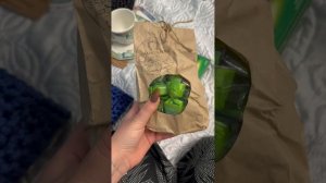 Что привезти из Калининграда