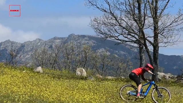 Pruebas eBIKE: Focus Jam2 Drifted 9.8 | Revista BIKE смотреть онлайн