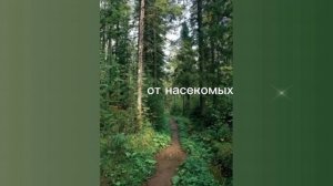 от насекомых/sub#саблиминал