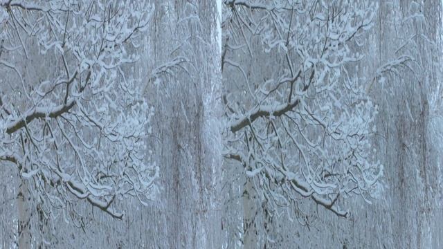 10 сказка зимнего леса 3d