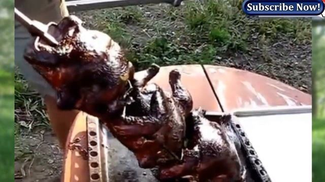 Grilled chicken on the Super Grill . смотреть онлайн