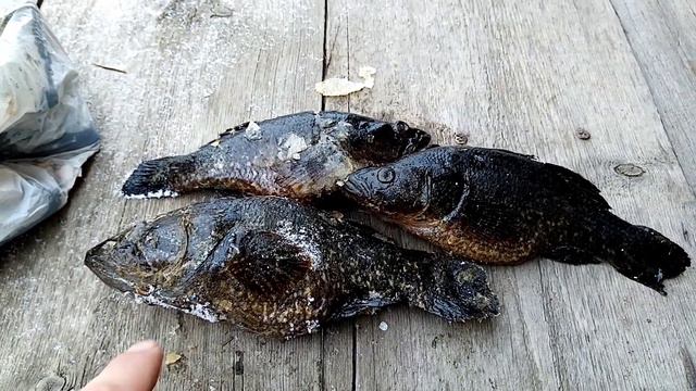 Вопросы и телевидение