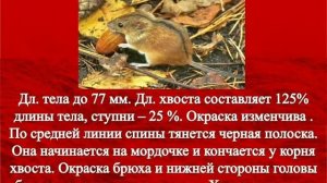 Красная книга Ростовской области