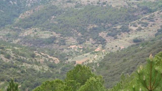 MINERVA (Roland VA-3)