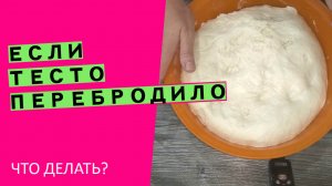 Если тесто перебродило? и ОПАЛО! ? Что делать? {Наглядный эксперимент}