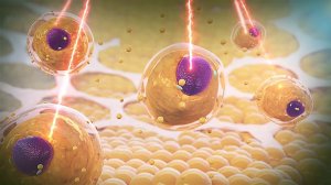 Эксимия EXIMIA