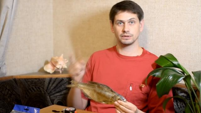 Стоит ли покупать подводную камеру? смотреть онлайн