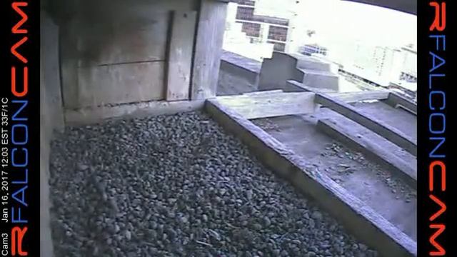 Camera 3 - 01/16/17 смотреть онлайн