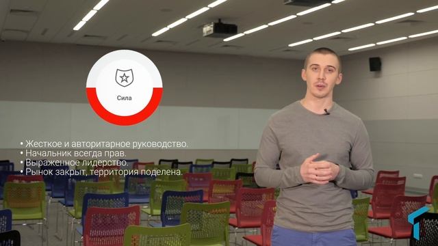 8.2 Спиральная динамика в контексте управления проектами смотреть онлайн