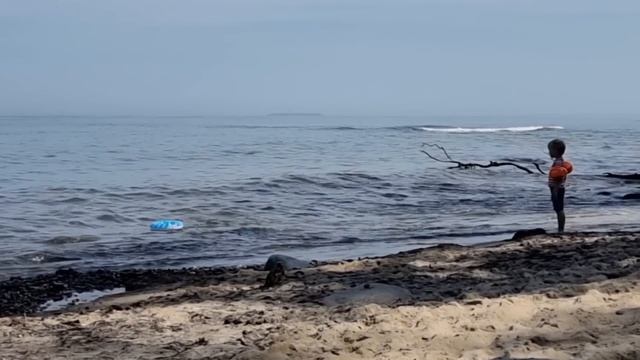 Не подведи Калининград/Немец против русского/Отдых на балтийском берегу/Из Германии в Россию смотреть онлайн