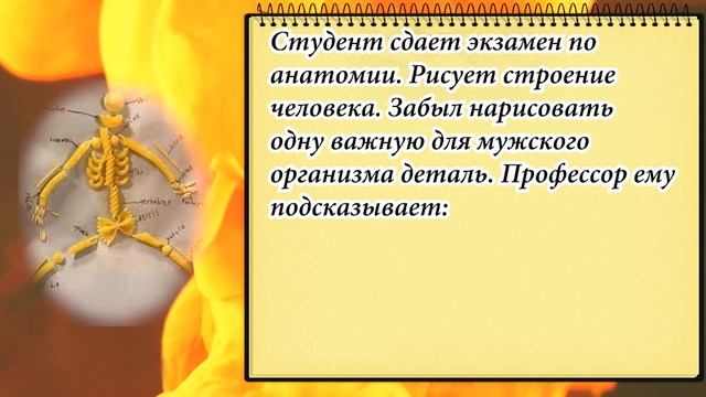 Проктолог осматривает пациента...!!! Сборник Смешных Анекдотов! Юмор! Подборка Анекдотов! смотреть онлайн