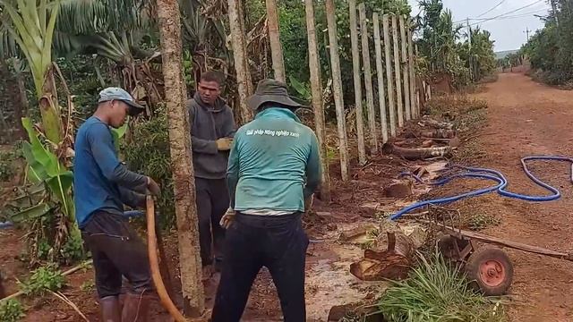 NGƯỜI ĐỒNG BÀO Ê ĐÊ XÂY DỰNG TRỤ NHƯ VẠN LÝ TRƯỜNG THÀNH смотреть онлайн