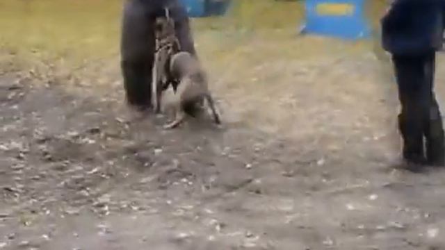 Лиана малинуа смотреть онлайн