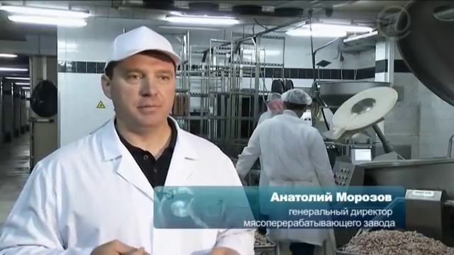 Среда обитания: какую колбасу есть смотреть онлайн