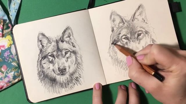 Рисую волка карандашом с комментариями?❤️ /Wolf pencil with comments смотреть онлайн