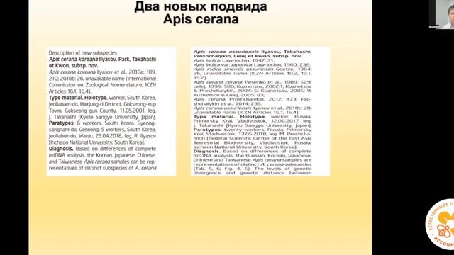 Филогеография медоносных пчёл. Подвидовое разнообразие видов Apis Mellifera и Apis Cerana.
