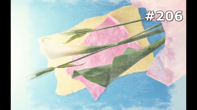 #206. Цветы и растения - очень яркие цветы смотреть онлайн