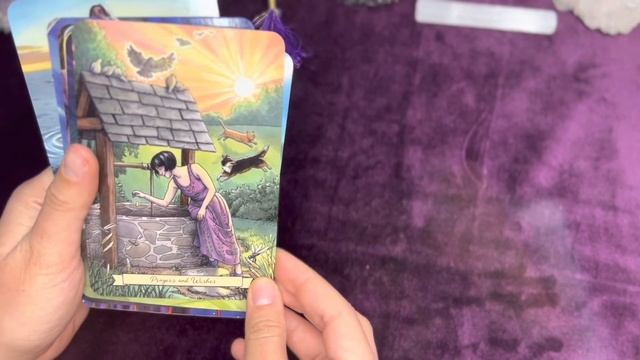 EVERY DAY WITCH ORACLE DECK - Flip through ✨?✨ смотреть онлайн