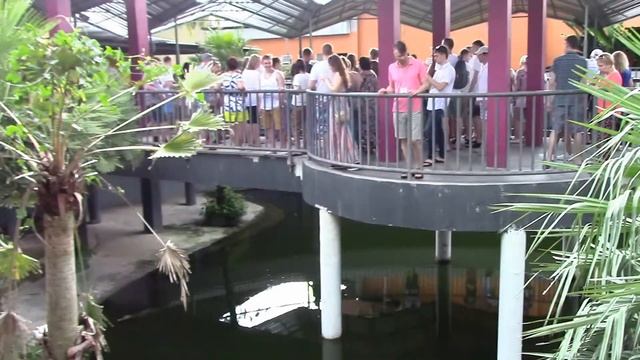 Обзорная экскурсия по Пхукету бесплатная от Пегас смотреть онлайн