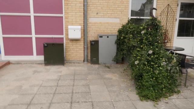 ДАНИЯ ?? Копенгаген. Как живут обычные датчане. Лучший кебаб в Копенгагене. смотреть онлайн