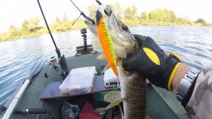 Jackall Rerange 130SP СДЕЛАЛ ВСЮ РЫБАЛКУ