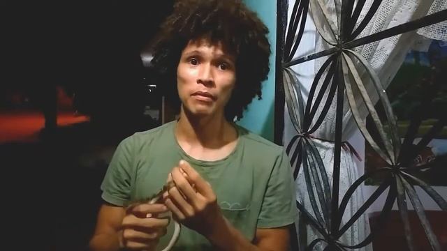 SERPIENTES: Educando y protegiendo.Leptodeira sp.(falsa mapaná, ojo de gato) смотреть онлайн