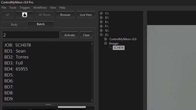 ControlMyNikon 5 - Batch Workflow смотреть онлайн