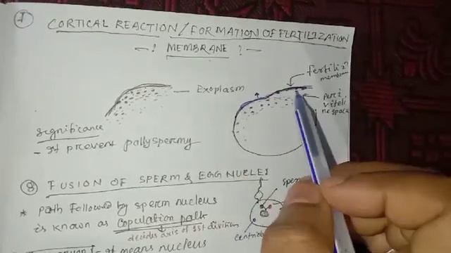 Fertilization part 2 by PN SIR смотреть онлайн