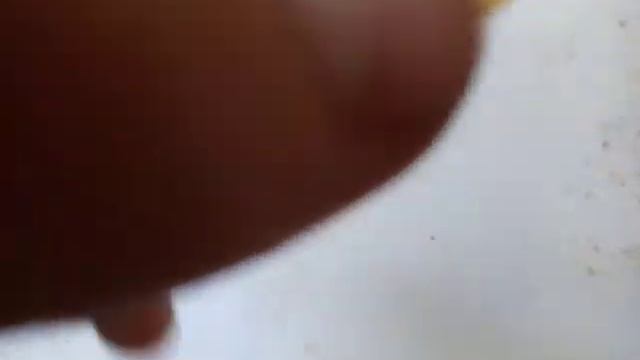 Обзорная пчёлка (бес вкусное желе) смотреть онлайн