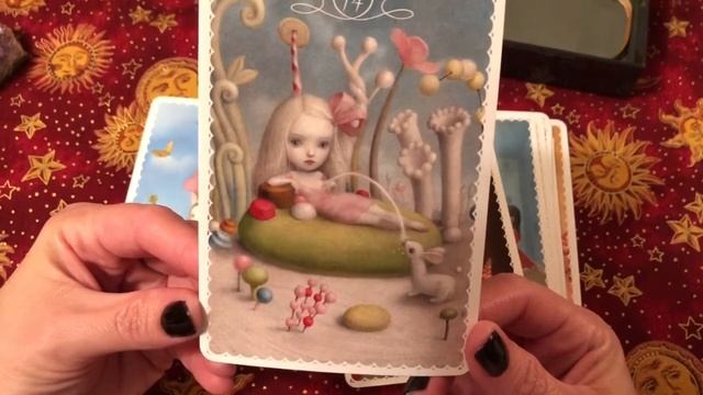 Ceccoli Oracle Cards Review смотреть онлайн