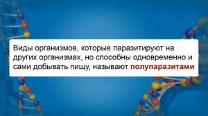 Биотические связи в природе. Видеоурок по биологии 9 класс