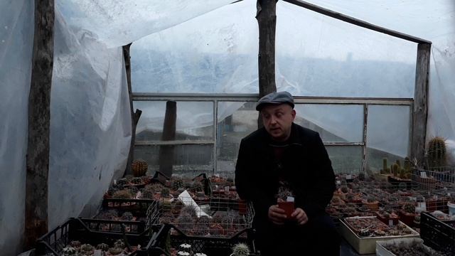 Кратко о кактусе и кактусах. Пол года прошло, пора знакомиться. смотреть онлайн