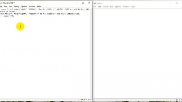 Начало работы в Python  Оператор print