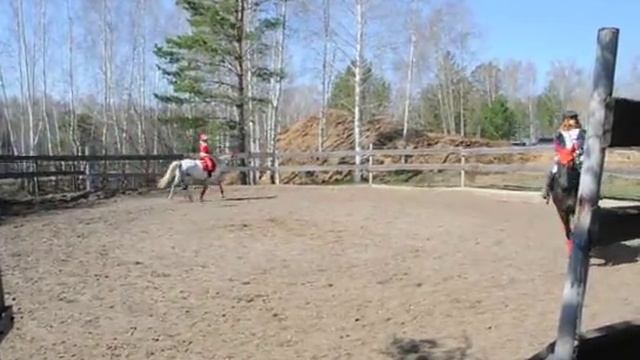 Соревнования в конном клубе Аллюр смотреть онлайн