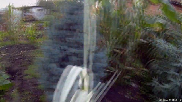 Odc-794.Wykopki - Alokazje, kolokazje BIG,sadzonki,gdzie zimuję itp. смотреть онлайн