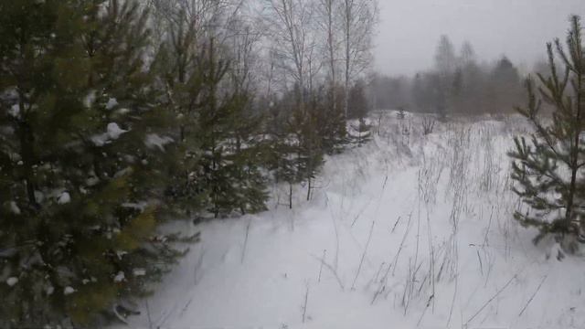 Дорогая я тебя не бросил, просто я уехал на охоту.Охота на зайца.Зайца беляка. Сезон охоты 20/21 4К смотреть онлайн